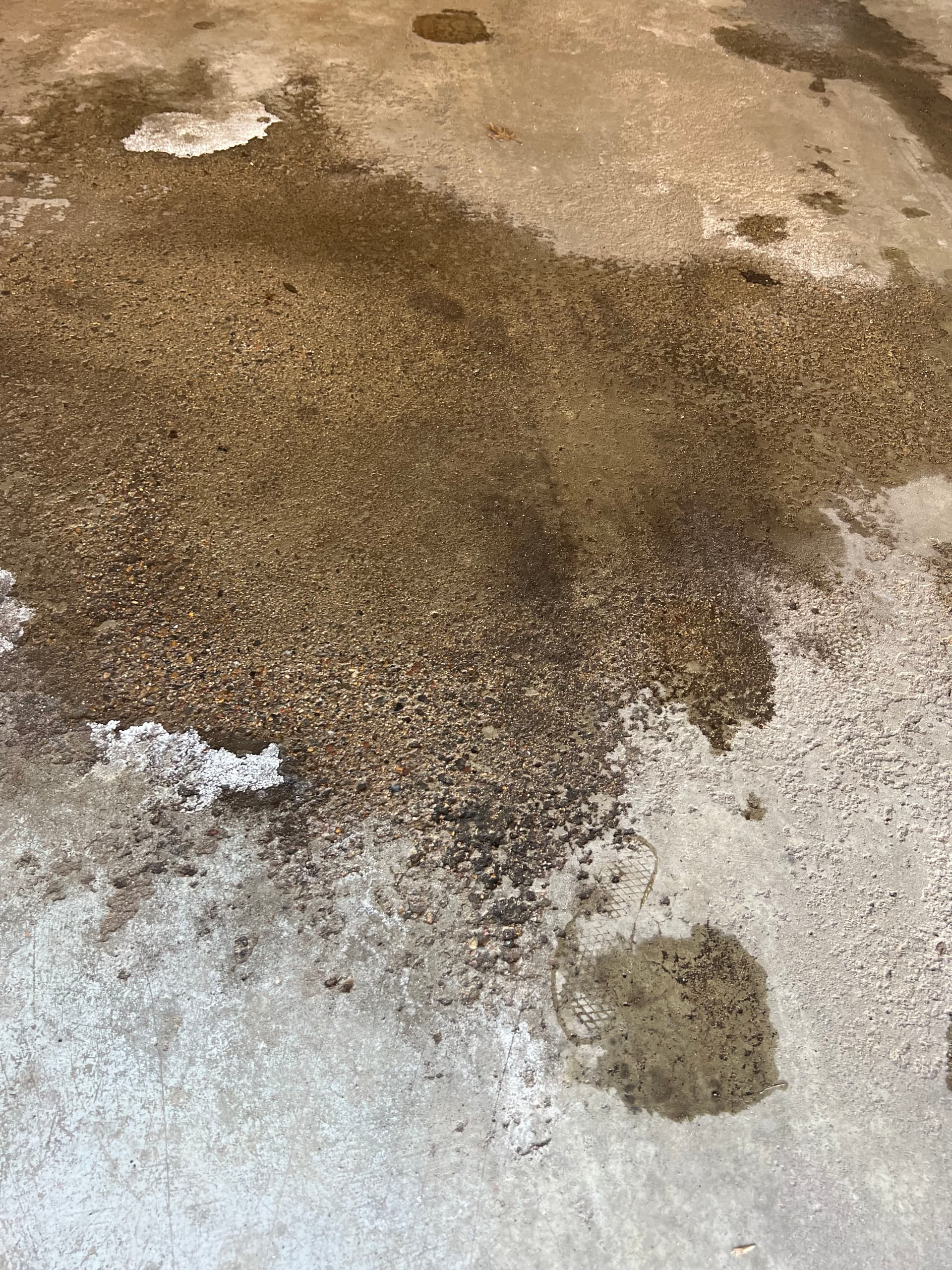 Gallery photos for Garage Floor Makeover with Flake Floor Systems: Image #1