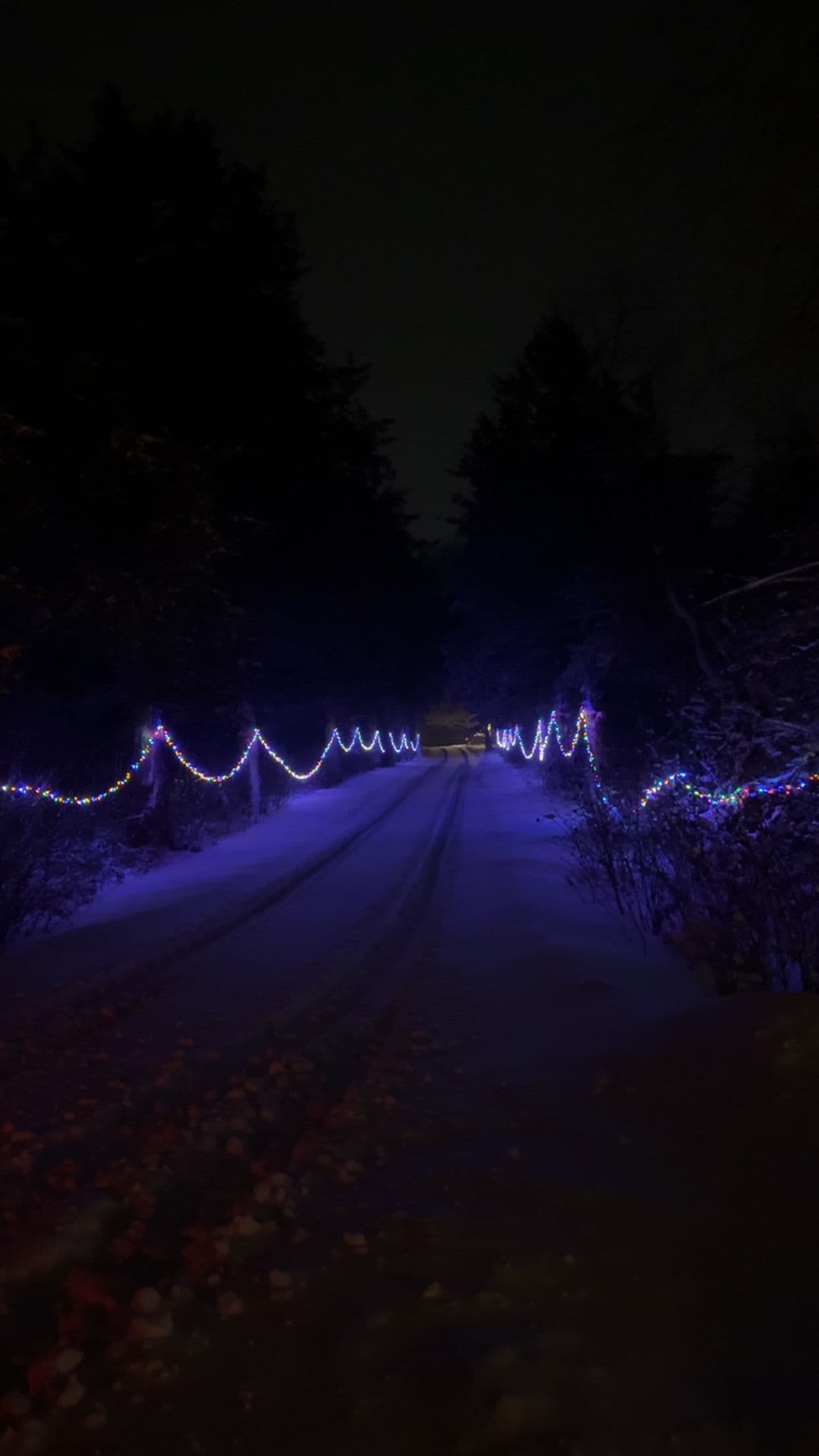 Reflecting on Growth and New Beginnings image